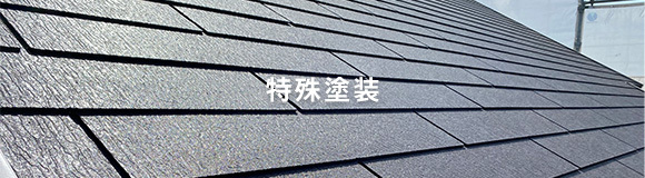 特殊塗装